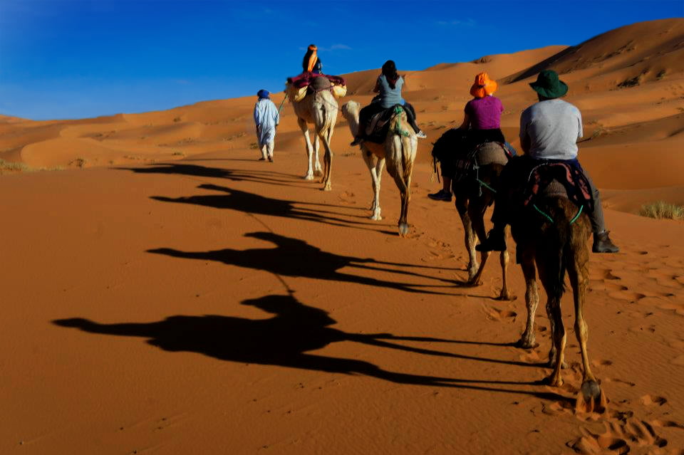 Image result for private morocco tours