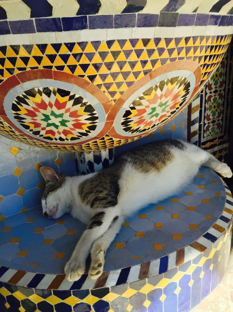 Sleeping Cat traditional Moroccan tile zellige fountain Pottery Village Fes Morocco
