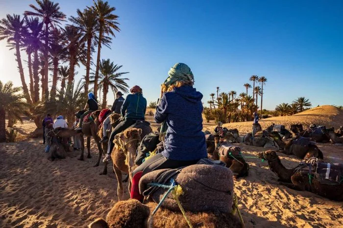 6-day Casablanca Sahara Private Tour