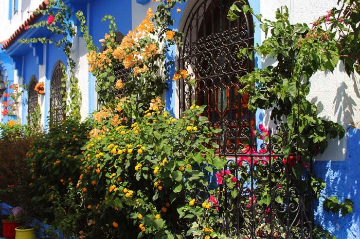 6-day tour from Fes to the north