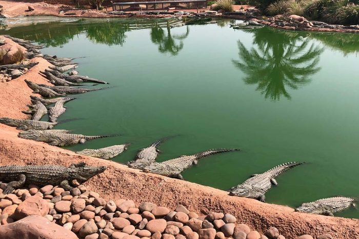 3-Day Private Tour from Marrakech to Agadir & Taroudant